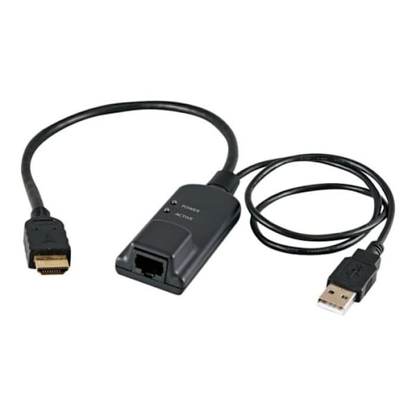 Servergränssnittmodul - VERTIV - AVOCENT - HDMI Hane - USB Hane - RJ-45 Hona