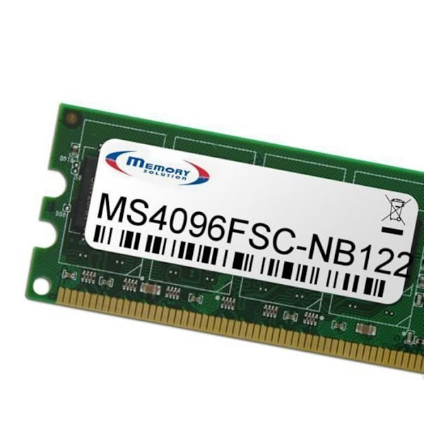 Minneslösning MS4096FSC-NB122, 4 GB