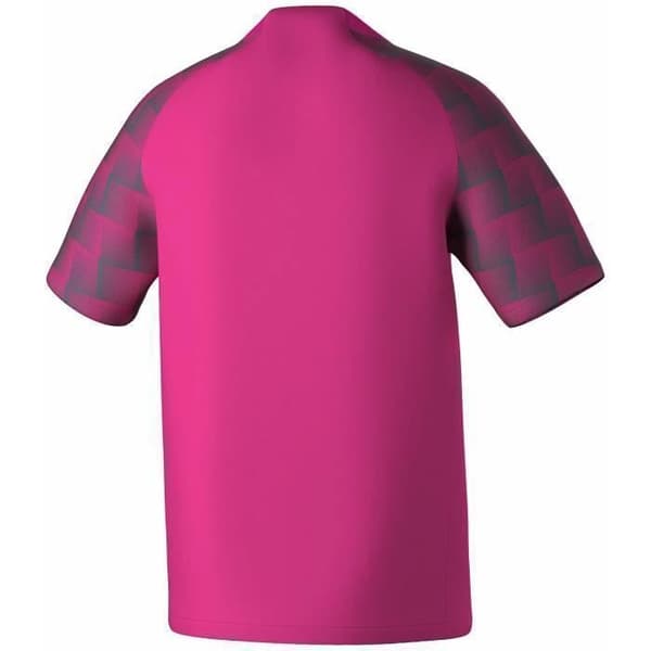 Erima Evo Star-tröja Rosa glo/skiffergrå S
