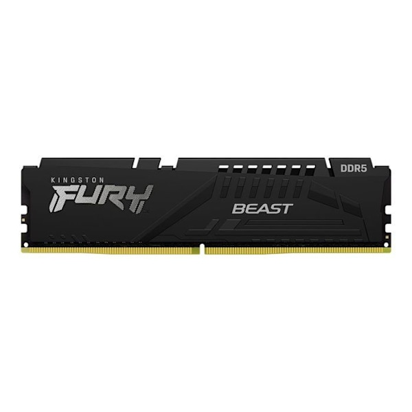 Minnesmodul - Kingston - Kingston FURY Beast - DDR5 - modul - 32 GB - 288 pin DIMM - 6000 MHz / PC5-48000 - minne utan ta