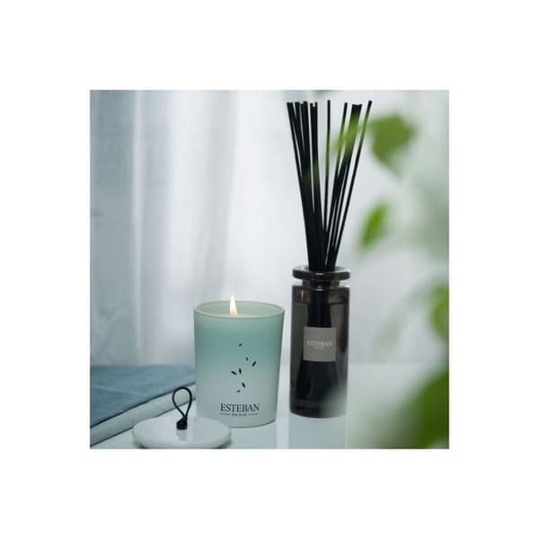 Inomhusparfym - Initial doftbukett Pur lin 100 ml - Esteban Grå