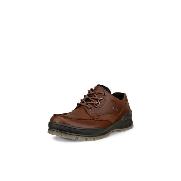 Ecco Track 25 GTX segelskor - bison/bison bison/bison 44