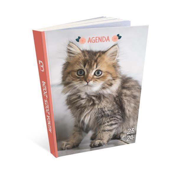 Skoldagbok - Katt - 2023/2024 - 1 sida per dag - Attraktivt omslag - Flerfärgad Flerfärgad