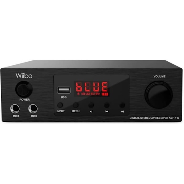 Bluetooth-förstärkare - Wiibo - 100W - USB - Mikrofon - MP3-spelare - FM-radio