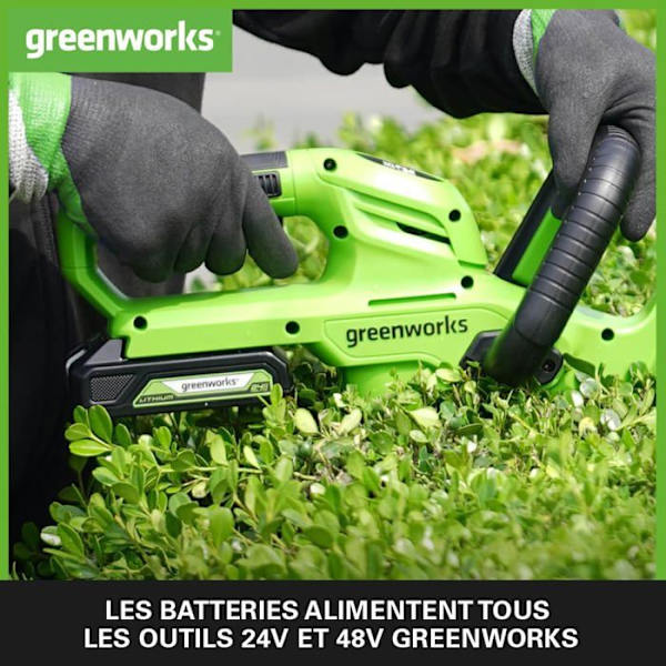 Greenworks tools batteriladdare