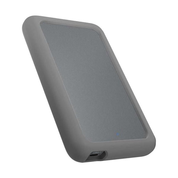 RaidSonic ICY BOX IB-246-C31-G USB 3.2 Type-C för 2.5 SSD - 60894 Grå