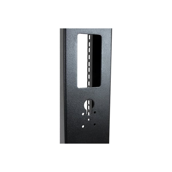 Serverrack - StarTech.com - 42U - Robust stål - Kapacitet 300 kg - Svängbara hjul
