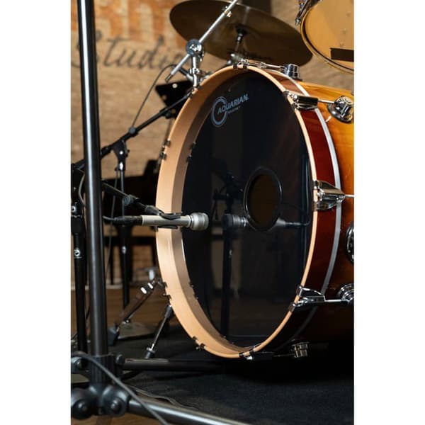 Warm Audio WA-19 Nickel Mikro dynamisk