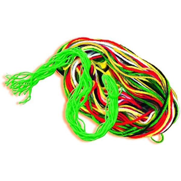 SES CREATIVE - Jag lär mig att brodera - Förtryckta och perforerade kort - Canvas med stora hål - För barn över 3 år Flerfärgad