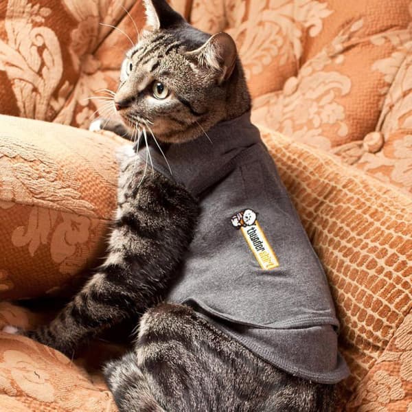 Kattjacka - THUNDERSHIRT - Thundershirt - Storlek M - Grå - Avkopplande effekt Grå