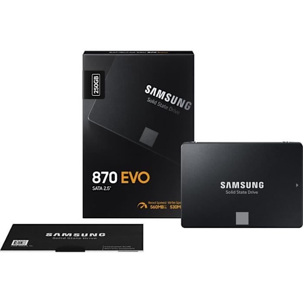 SAMSUNG 870 EVO - - Intern Solid State Drive - 250GB - 2,5" (MZ-77E250B/EU)