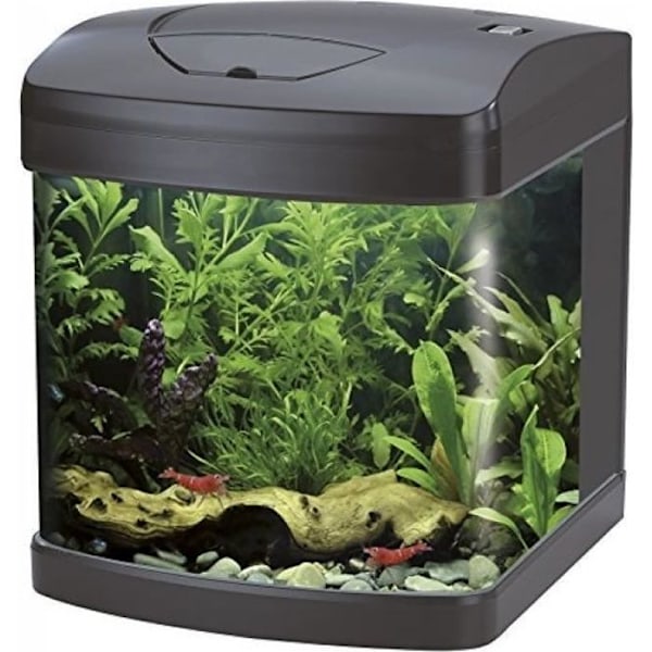 WAVE rektangulärt akvarium - Svart - 26 L - LED-belysning - Stream 230 pump - Biologiskt filter Svart
