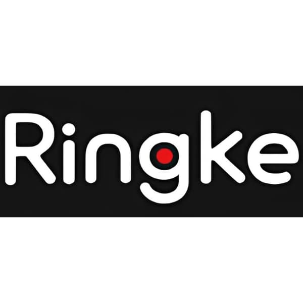Monteringsspel - byggspel - manipulationsspel Ringke
