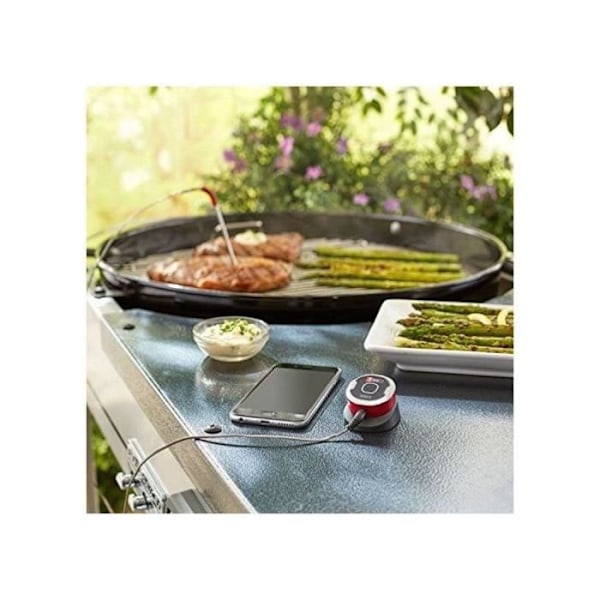 Ansluten termometer - WEBER - IGrill mini - Räckvidd 45cm - Svart Svart