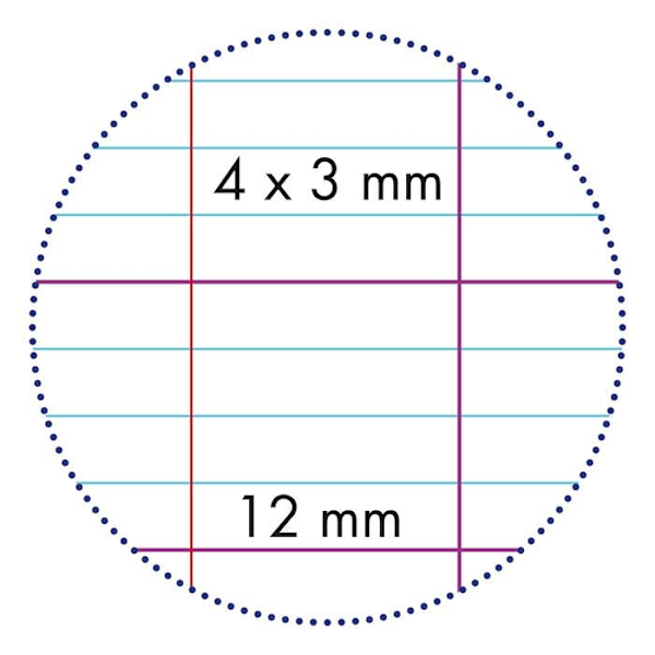 Clairefontaine Notebook - 303796AMZC