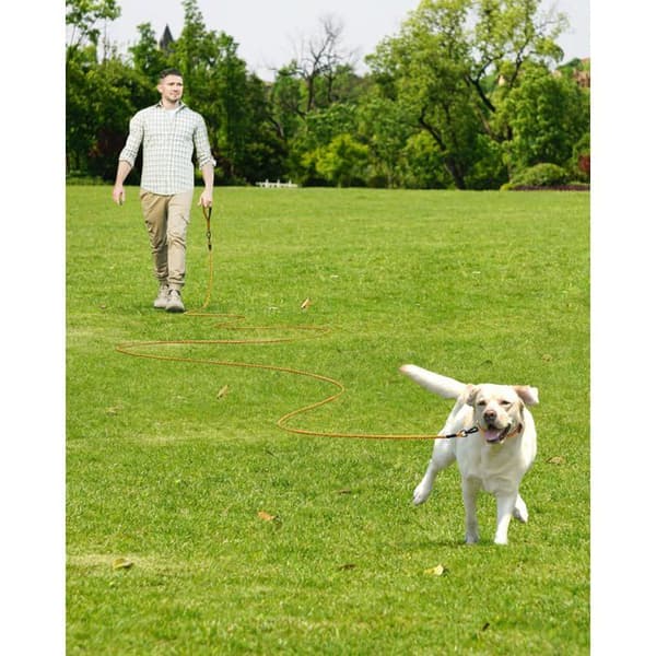 Hundlina - JOYTALE - A95001 - 15 m - Hållbar klätterrep - Rostfria karbinhakar