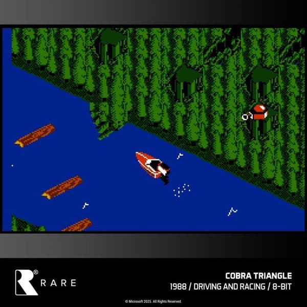 Blaze Evercade - RARE Collection 1 - Kartong nr 48