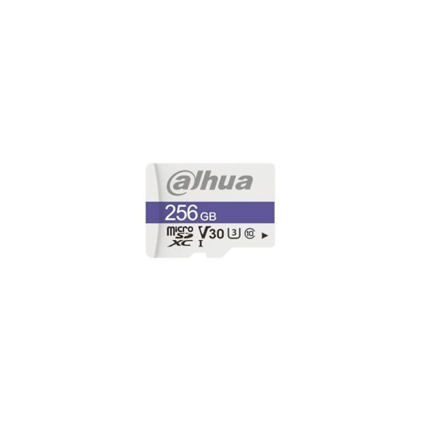 Dahua Technology C100 256 GB MicroSDXC UHS Klass 10