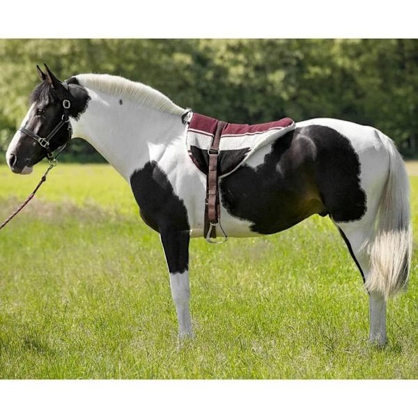 Ridkudde - NORTON - Cob-full - Akrylull - Syntetiskt fårfoder - Brun/Beige Brun/Beige
