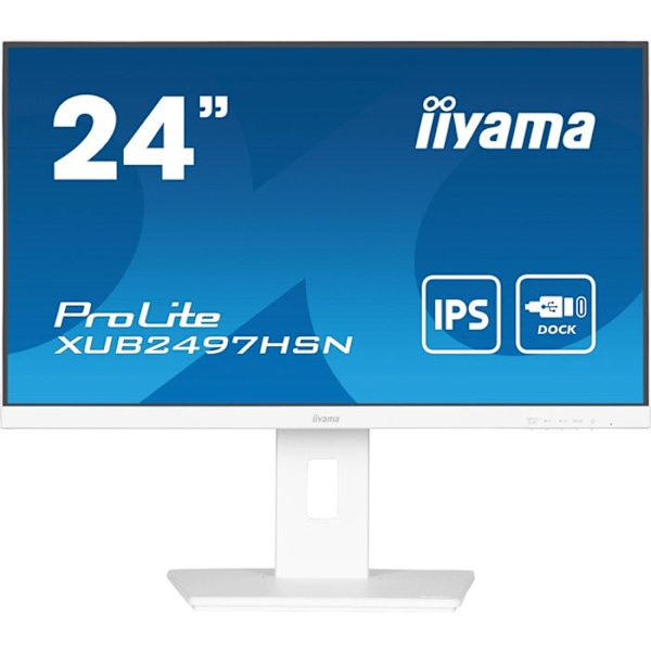 iiyama ProLite XUB2497HSN-W2 Vit