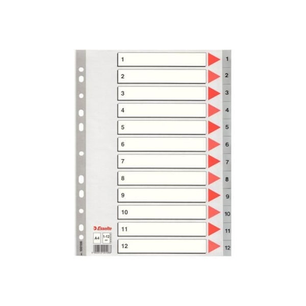 Esselte 12 Position 1-12 A4 Flikavdelare