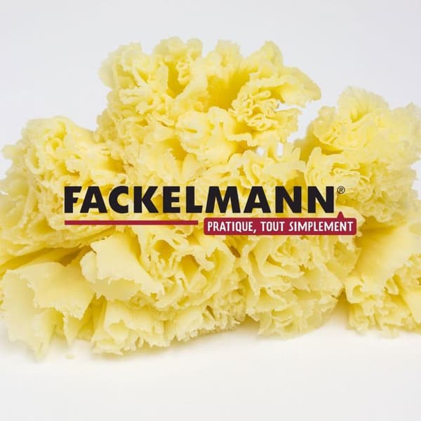Girolle för ost 22 cm Fackelmann Boissellerie Grå, brun