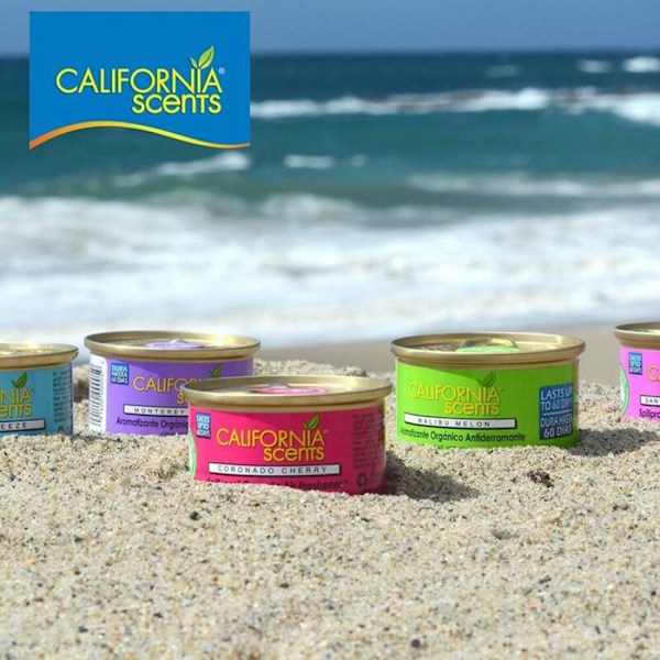 Luftrenare - California Scents - Capistrano Coco - 42 gram - Kokosdoft - För bil kastanj