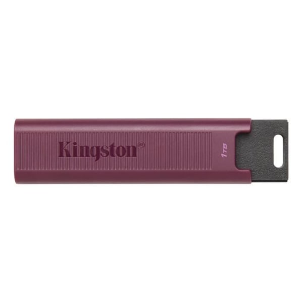 Kingston DTMAXA-1TB USB-minne