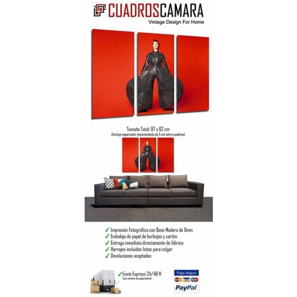 Målning - canvas Cuadros cámara - PST26852 - Flerfärgad fotografisk affisch fotoram 97 x 62 cm