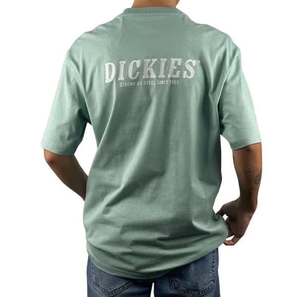 T-shirt Grön Herr Dickies Script Blå Surf Grön XS