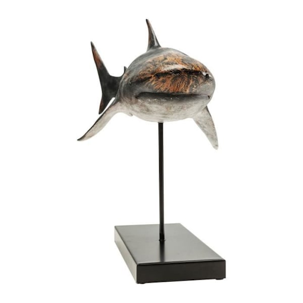 Deco Object Shark Base Kare Design