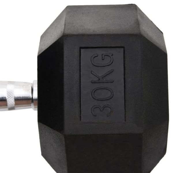 Hantel 30 kg Gjutjärn Svart
