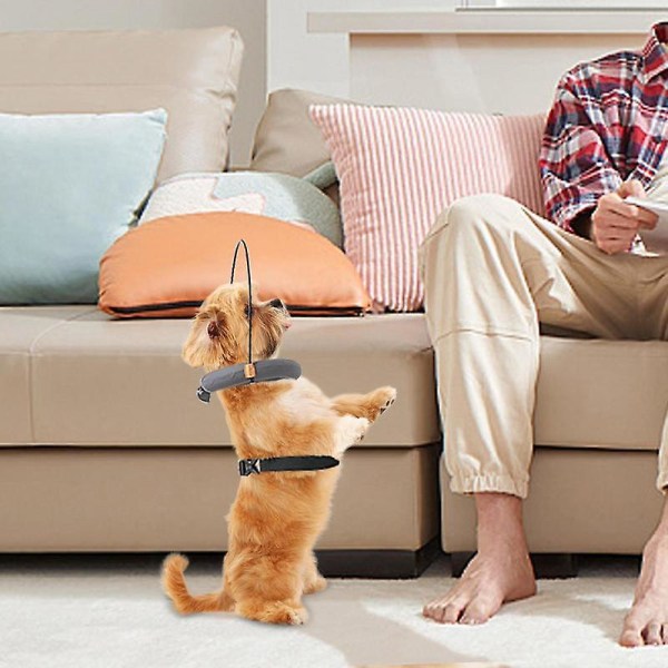 2023 Ny Blind Dog Sele Lederenhet Blind Dog Halo Pet Anti-kollisjonsring Blind Hundetilbehør Justerbar ring S