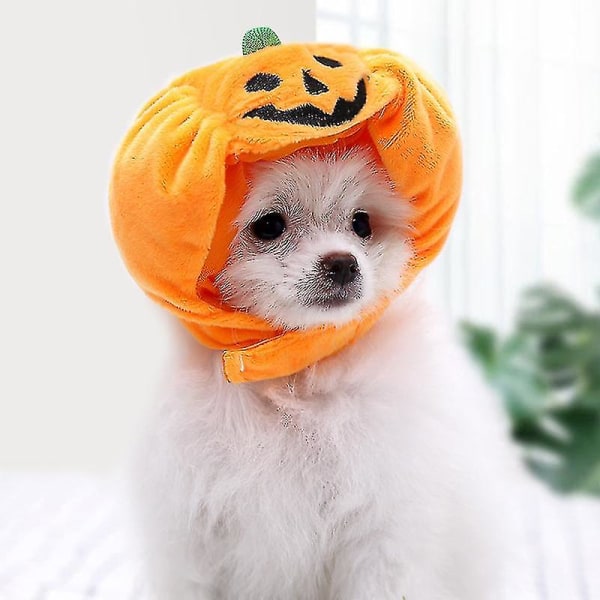 Halloween Pumpkin Pet Hat Orange Pumpkin Hat Pet Hovedbeklædning Supplies  Kostume S e074 | S | Fyndiq