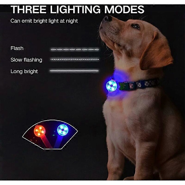 Hund Katt Halsband LED-Lampa, USB Uppladdningsbar LED Hundhänge Lampa, 3 Blinkande Lägen Vattentät Säkerhetslampa för Husdjur Glödande Hänge (Blå, A)
