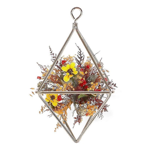 Hängande Tillandsia Luftväxter Ställ Geometrisk Diamantformad Blomkruka Korg
