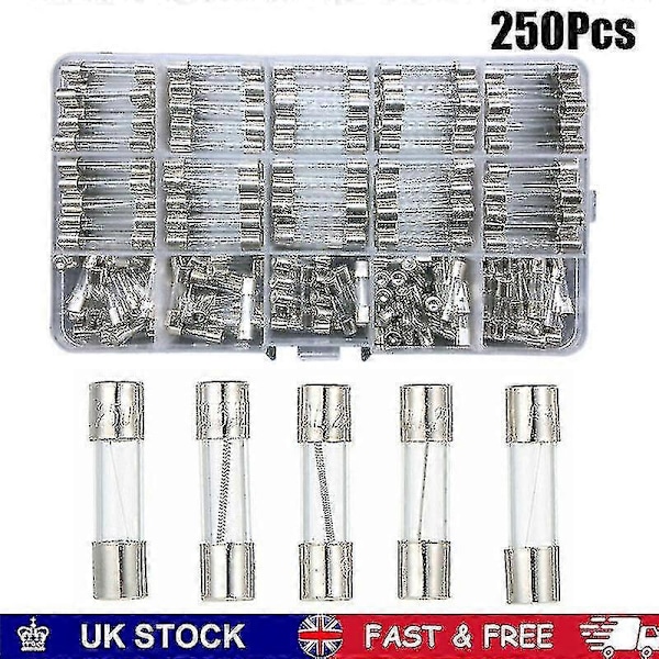 250x Blandade Glassäkringar 5x20mm 6x30mm Box Säkringsrör Kit Snabb Smält Snabba A-HYJ