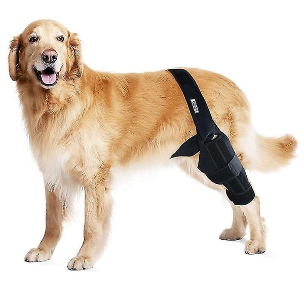 Koiran polvituki Koiran jalkatuki repeytyneelle Acl-takajalalle Koiran lonkkatuki tukea varten, koiran Acl-polvetuet luxating polvilumpioille, vähentää niveltulehduskipua