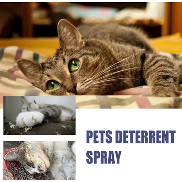50ML Anti-klös Spray för Husdjur Katt och Hund Klösskydd Dörr Soffa Anti-klös Bit Spray