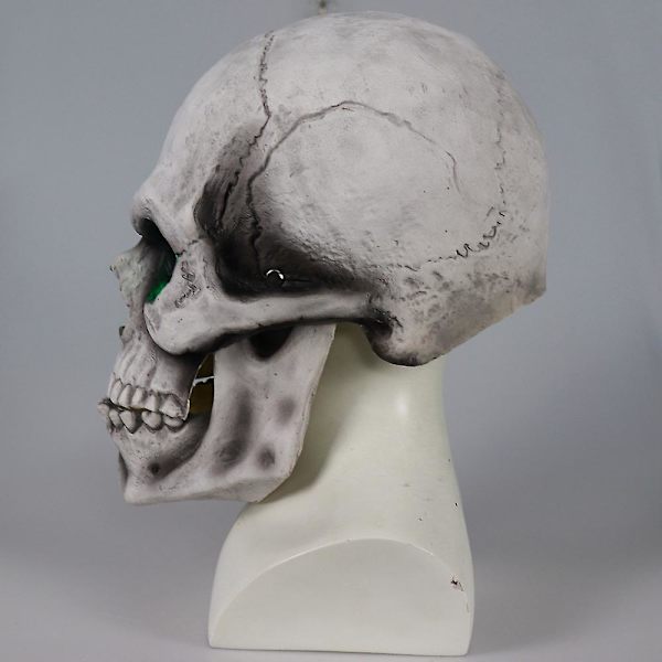 Halloween Skull Mask Halloween Scary Mask Terror Liikkuva Leuka Koko pää Kallo Naamio Kauhu Cosplay Musk Juhlasisustus Dropshipping Grey-Red Light