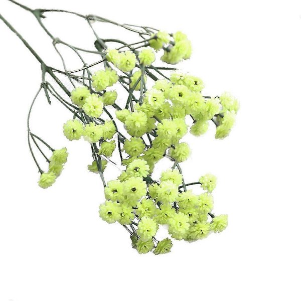 Simuleringsblomst af stjernerne på himlen