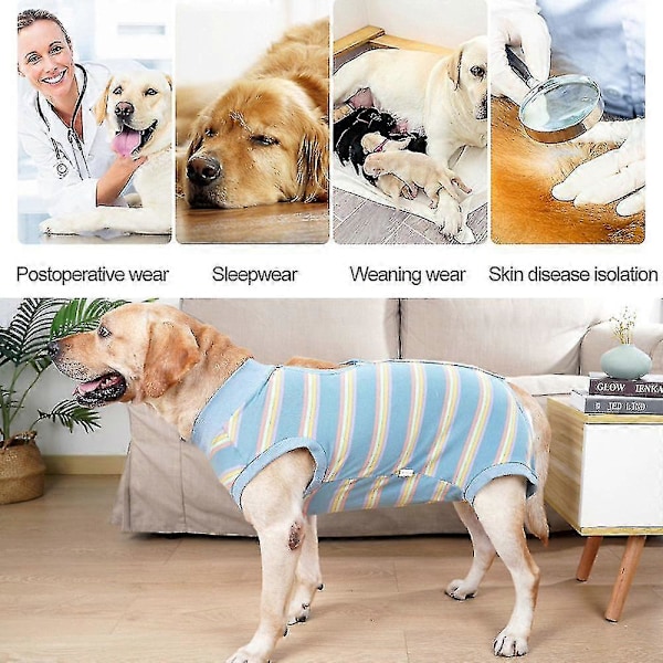 Guoguo 1 Stycke Hundkläder För Stora Och Mellanstora Hundar. Postoperativ Återhämtning Hund Steriliseringskläder