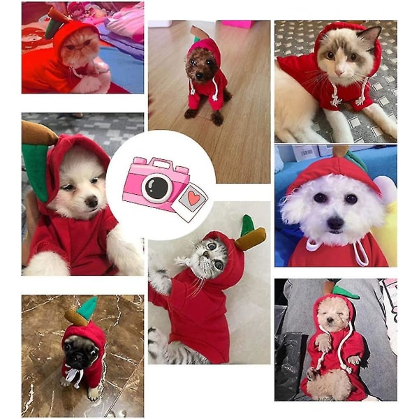 Hunde hættetrøje, sød hundetøj sweatshirt, varmt tøj til små medium stor hund kat chihuahua Red Apple XL