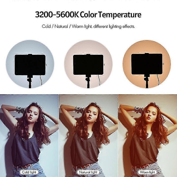Oppgradert USB-to-fargetemperatur LED-videolyssett med 2 * LED-fylllys 3200K-5600K 10 lysstyrkenivåer + 2 * uttrekkbart stativ maks. 148 cm/58 tommer