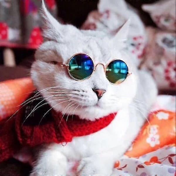 Husdjursglasögon Solglasögon Katt Solglasögon