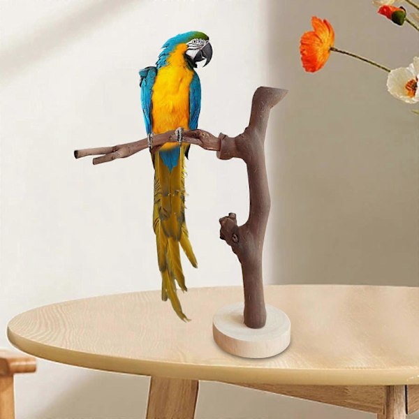 Papegojstativ Fristående Fågelpinnar Fågelträningsstativ Portabla Utomhusgrenar för Papegojor Cockatiels Husdjur Macaw Parakiter