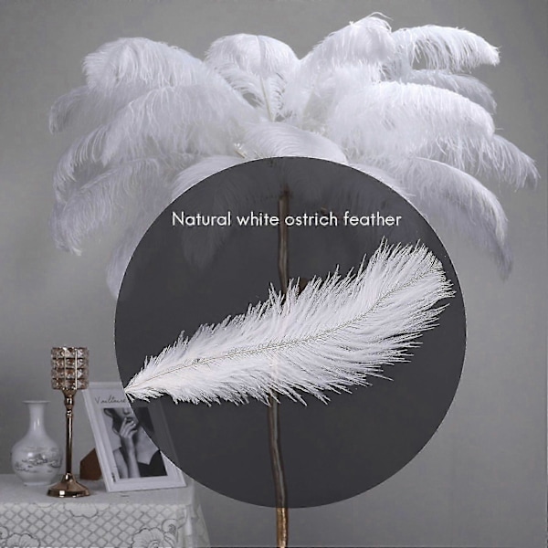 10 Stykker Hvide Naturlige Strudsefjer 20-25cm Bryllup DIY