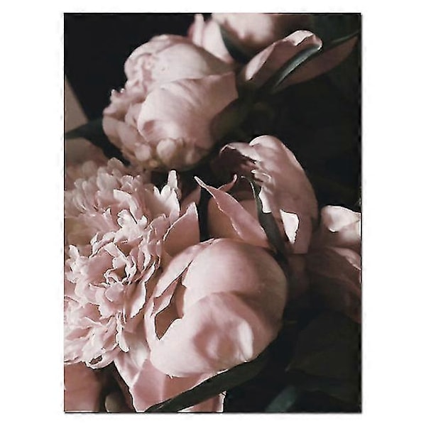 2023 - DIY Heminredning Målning Rosa Pion Blomma Affisch, Blomväggkonst Rum Hem Dekoration Målning (ShiKai)
