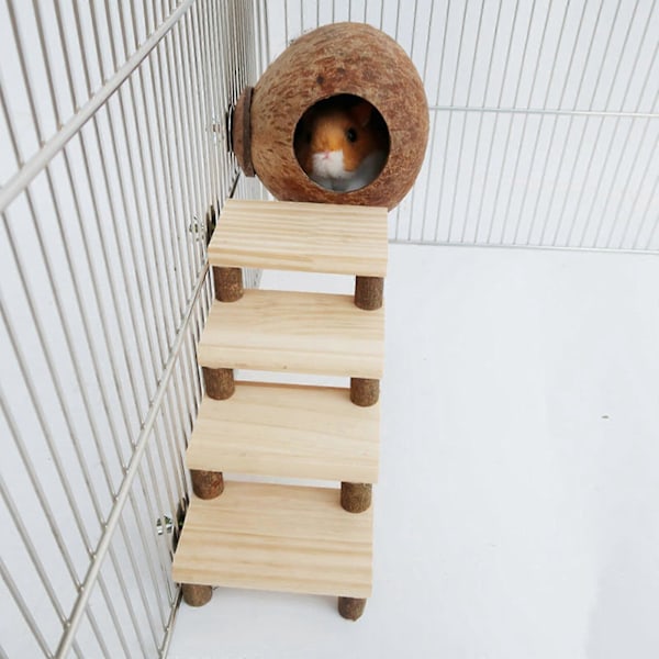 Kokosnöts Hamsterhus Sovbur Tillbehör Tränings Hamsterkoja för Råtta