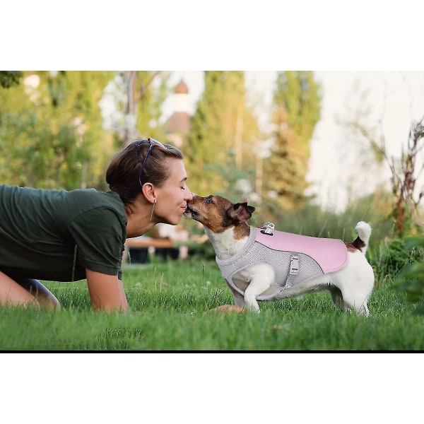 Hundkylväst Justerbar sommarkläder Hundkyljacka för utomhusvandring, promenader och camping Pink M